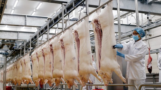 Thịt sạch theo công nghệ thịt mát Châu Âu ảnh 1