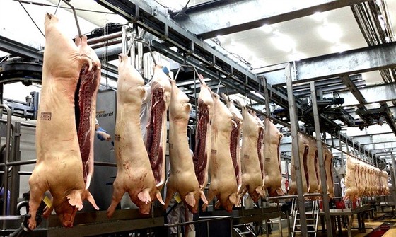 Khánh thành tổ hợp chế biến thịt mát trị giá 1800 tỷ đồng tại Long An ảnh 1