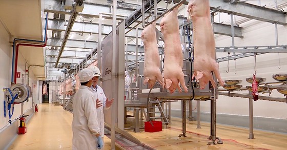 Khánh thành tổ hợp chế biến thịt mát trị giá 1800 tỷ đồng tại Long An ảnh 2