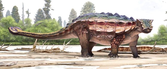 Tìm thấy hóa thạch khủng long con quý hiếm ảnh 1
