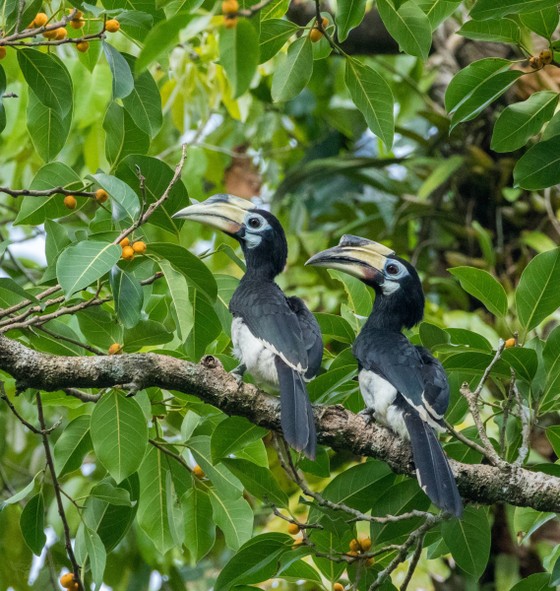 Phản hồi bài viết 'Băn khoăn vị trí dự kiến xây cầu Mã Đà': Hoàn thiện các căn cứ pháp lý ảnh 1