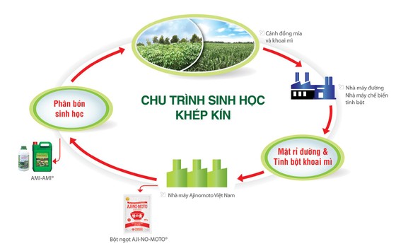 Phát triển bền vững cùng bảo vệ môi trường ở Ajinomoto Việt Nam ảnh 3