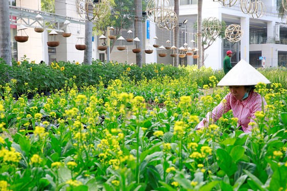 Hội chợ hoa xuân Phú Mỹ Hưng Tết Kỷ Hợi: Hoa và cuộc sống ảnh 3