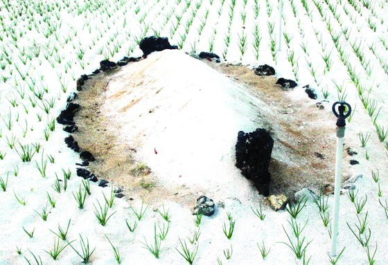 Đặc sản miền biên viễn ảnh 2