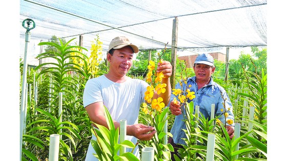 Hành trình 10 năm xây dựng nông thôn mới ảnh 1