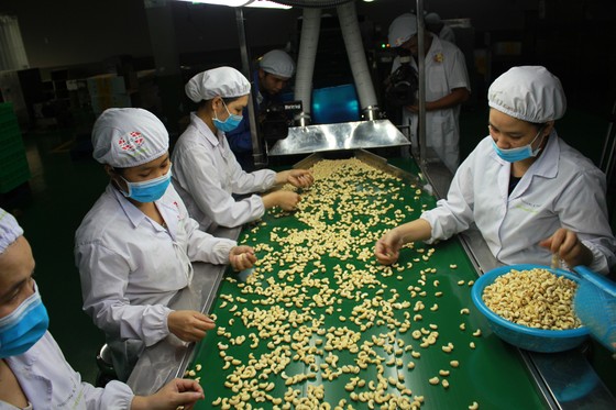 Hướng đến mô hình liên kết, xuất khẩu chính ngạch ảnh 2