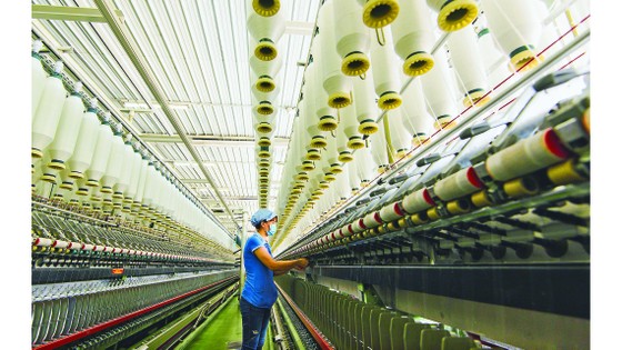 Giao dịch thương mại Việt Nam - EU: Bắt nhịp sôi động ảnh 2