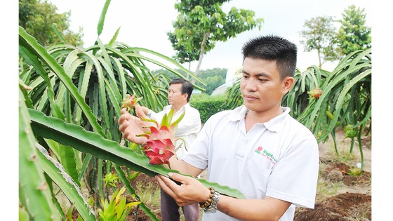 Cơ hội tăng xuất khẩu nông sản ảnh 1