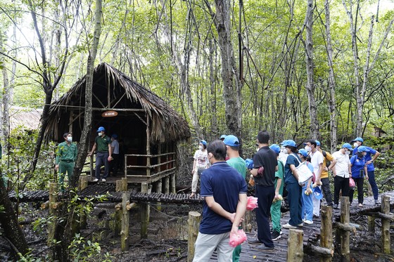 Lữ hành Saigontourist tiên phong tặng miễn phí bảo hiểm Covid-19 cho du khách ảnh 3