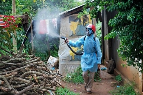 Phòng tránh bệnh sốt rét trước nguy cơ bùng phát thành dịch ảnh 2