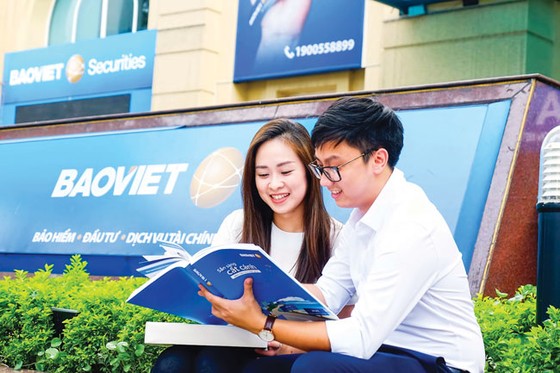 Cổ tức: Thước đo hiệu quả của BVH ảnh 1