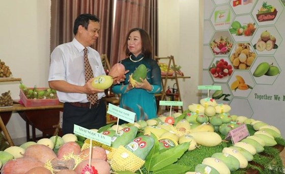 Căng thẳng thương mại Mỹ-Trung: Xuất khẩu sang Trung Quốc tiếp tục khó hình ảnh 1 Cang thang thuong mai My-Trung: Xuat khau sang Trung Quoc tiep tuc kho hinh anh 1