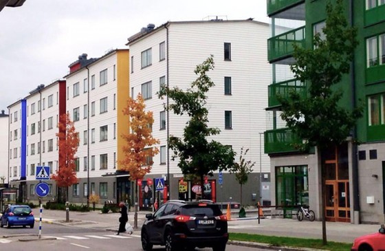 Những cái cây trên đường tình cờ trùng với màu tường của các tòa nhà.