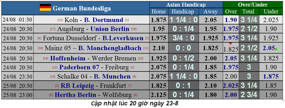 Lịch thi đấu giải Liga, Bundesliga, Serie A và Ligue 1 ngày 24-8 (Mới cập nhật) ảnh 5