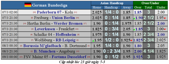 Lịch thi đấu Bundesliga, vòng 25: Hùm xám thừa cơ tăng tốc ảnh 2