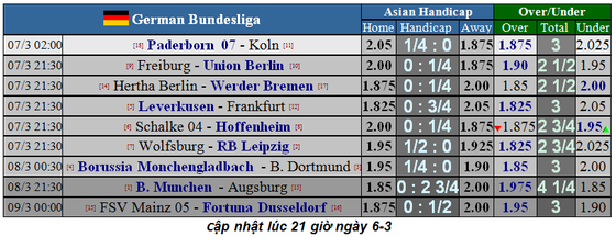 Lịch thi đấu Bundesliga, vòng 25: Hùm xám thừa cơ tăng tốc ảnh 1