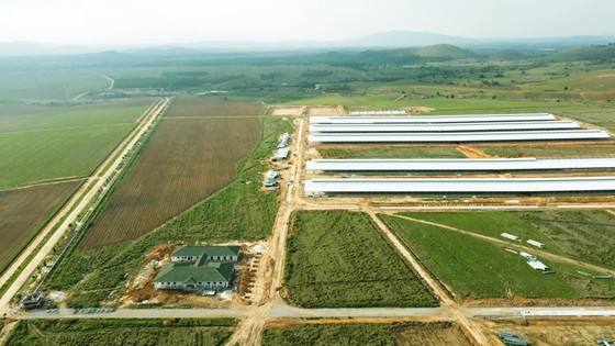 Siêu dự án trang trại của Vinamilk tại Lào sẽ 'cho sữa' vào đầu năm 2022 ảnh 1
