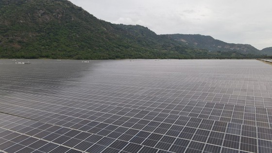 Sao Mai có thêm 1.000 tỷ doanh thu mỗi năm từ điện mặt trời ảnh 1