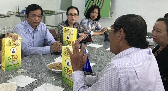 Ông Hồ Quang Cua đã thuê luật sư đăng ký bảo hộ gạo ST25 ảnh 1