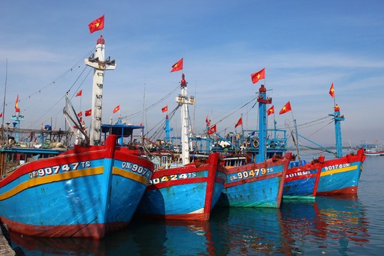 Đông Hải – Bạc Liêu sức hút từ tiềm năng kinh tế biển trọng điểm của ĐBSCL  ảnh 2