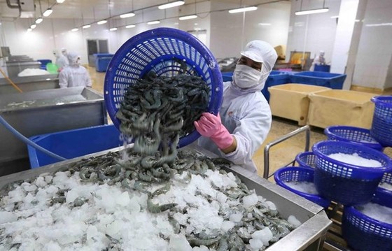 Vì sao doanh thu của doanh nghiệp thủy sản tăng nhưng lợi nhuận giảm? hình ảnh 2 Vi sao doanh thu cua doanh nghiep thuy san tang nhung loi nhuan giam? hinh anh 2