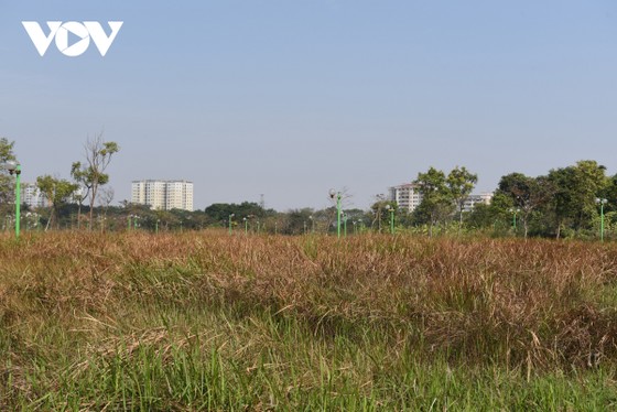 Công viên ở Hà Nội bị bỏ hoang, xuống cấp biến thành vườn rau giữa khu đô thị Việt Hưng ảnh 8