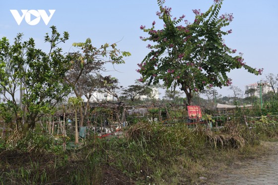 Công viên ở Hà Nội bị bỏ hoang, xuống cấp biến thành vườn rau giữa khu đô thị Việt Hưng ảnh 12