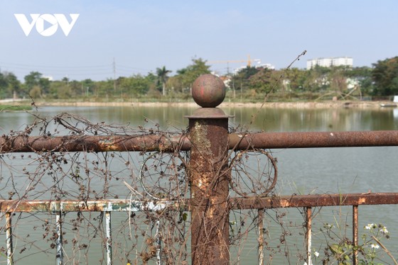 Công viên ở Hà Nội bị bỏ hoang, xuống cấp biến thành vườn rau giữa khu đô thị Việt Hưng ảnh 6