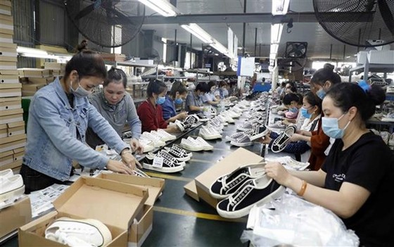Giải pháp giúp doanh nghiệp xuất khẩu phòng ngừa rủi ro về tỷ giá hình ảnh 2 Giai phap giup doanh nghiep xuat khau phong ngua rui ro ve ty gia hinh anh 2