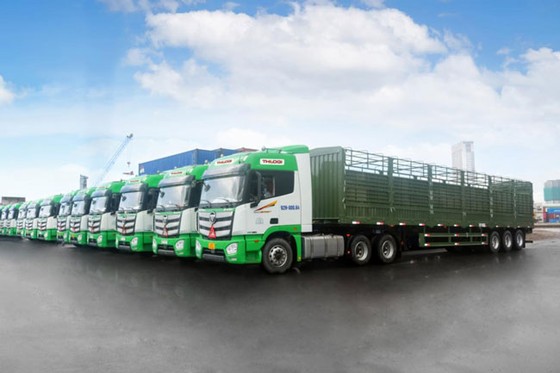 Thilogi cung ứng dịch vụ vận chuyển gia súc chuyên nghiệp ảnh 3