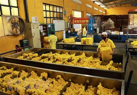 Hoạt động xuất khẩu cao su bị ảnh hưởng do như cầu giảm hình ảnh 2 Hoat dong xuat khau cao su bi anh huong do nhu cau giam hinh anh 2