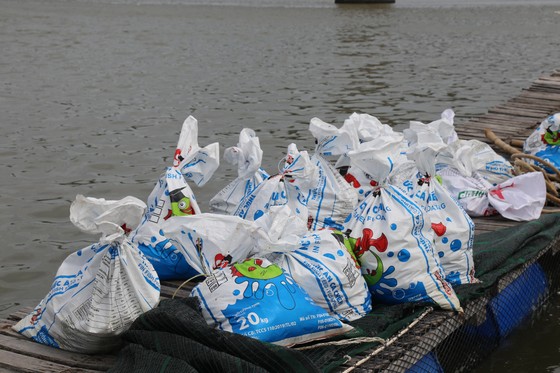 Cá bè Long Sơn chết hàng loạt, người dân thiệt hại tiền tỷ ảnh 3
