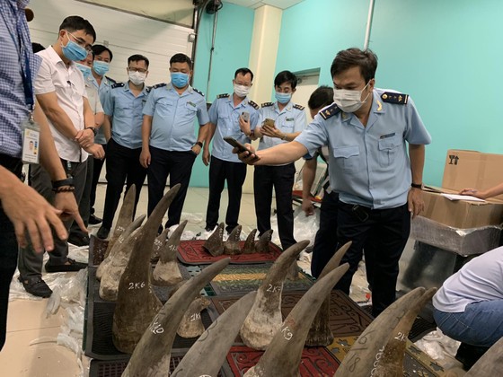Thông tin mới nhất vụ gần 100kg nghi sừng tê giác tại kho hàng khu vực sân bay Tân Sơn Nhất ảnh 4