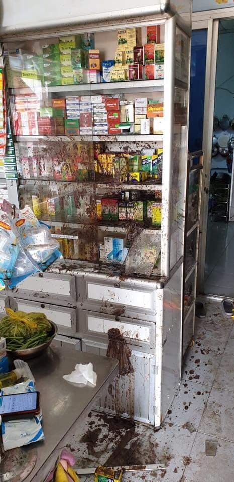 Khởi tố 2 vợ chồng thuê 'giang hồ' tạt chất bẩn, mắm tôm vào tiệm thuốc tây ở quận 8 ảnh 2