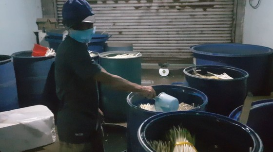 Phát hiện cơ sở dùng hoá chất không rõ nguồn gốc chế biến ngó sen ở TPHCM ảnh 3