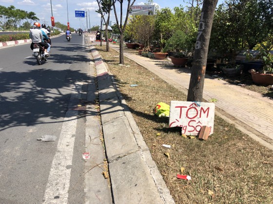 Nam thanh niên tử vong bất thường trên đại lộ Phạm Văn Đồng, TP Thủ Đức  ảnh 1
