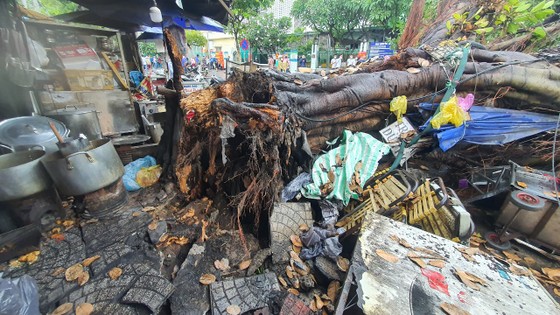 Cây cổ thụ bật gốc trong mưa, đè ô tô và hàng quán