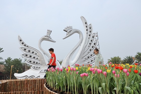 Dịp Tết thưởng thức 'Bản giao hưởng mùa xuân' lung linh tại Ecopark ảnh 2