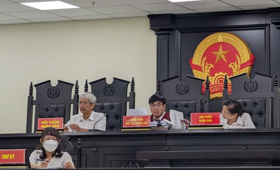Mang bầu 5 tháng, cựu nhà báo Nguyễn Ngọc Diệp có đơn hoãn phiên xét xử ảnh 1