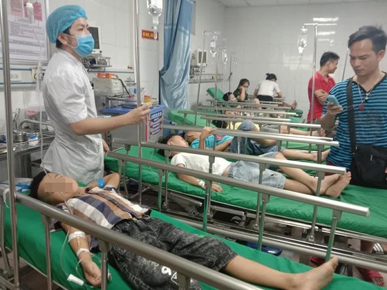 16 học sinh tiểu học ở Nghệ An nhập viện vì bị ong đốt ảnh 1