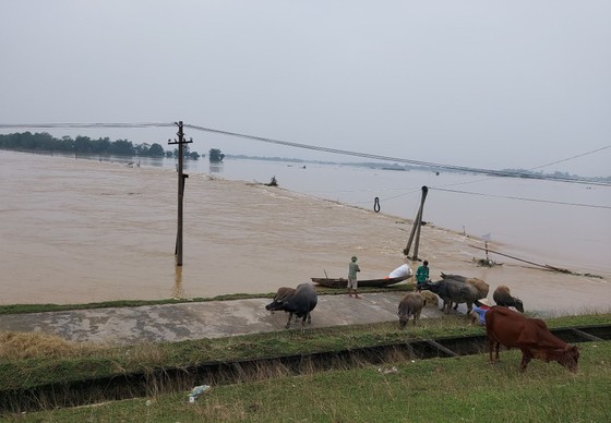 Nghệ An: 7 người chết do mưa lũ ảnh 1