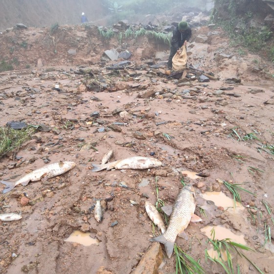 Nghệ An: Mưa lớn đầu mùa gây thiệt hại nặng  ảnh 1