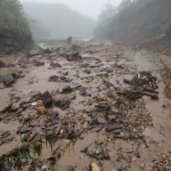 Nghệ An: Mưa lớn đầu mùa gây thiệt hại nặng  ảnh 2