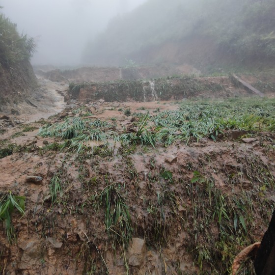 Nghệ An: Mưa lớn đầu mùa gây thiệt hại nặng  ảnh 3