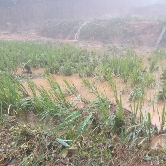 Nghệ An: Mưa lớn đầu mùa gây thiệt hại nặng ảnh 7