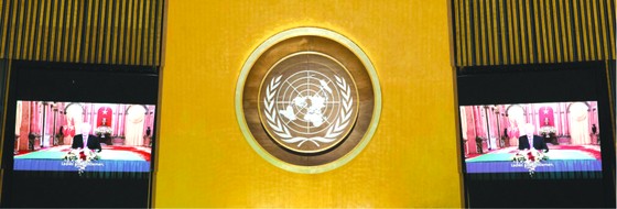 越南重視加強與聯合國全面合作關係 ảnh 1