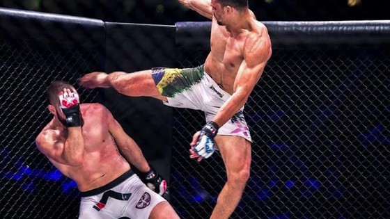 Đấu trường MMA: Bay lộn như phim kungfu Trung Quốc, võ sĩ Brazil thống trị Nhật – Hàn  ảnh 6