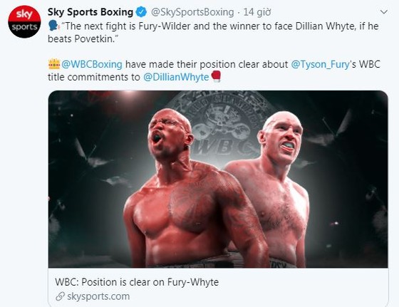 “Quái hiệp” Dillian Whyte vs “Sư tử trắng nước Nga” Alexander Povetkin: Tranh thêm đai WBC Diamond ngoài WBC Interim ảnh 1