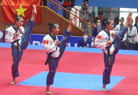 Liên đoàn taekwondo Việt Nam phải dời khóa bồi dưỡng chuyên môn sang năm sau. Ảnh: TaekwondoVN