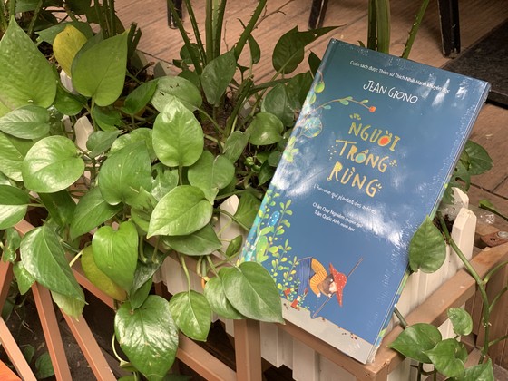 'Người trồng rừng': Ngợi ca sức mạnh tiềm ẩn của việc gieo hạt ảnh 1